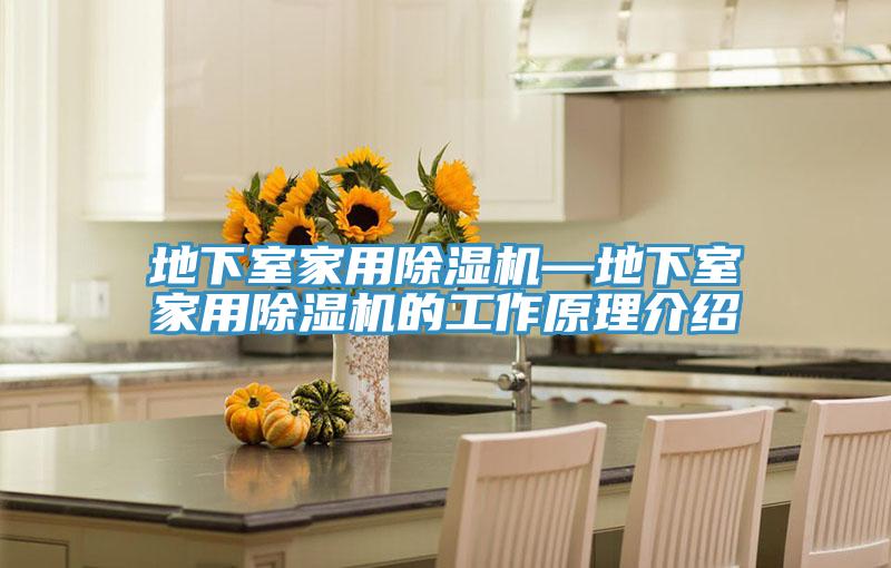 地下室家用除濕機—地下室家用除濕機的工作原理介紹