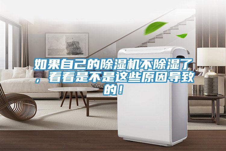 如果自己的除濕機(jī)不除濕了，看看是不是這些原因?qū)е碌模?></div>
								<div   id=