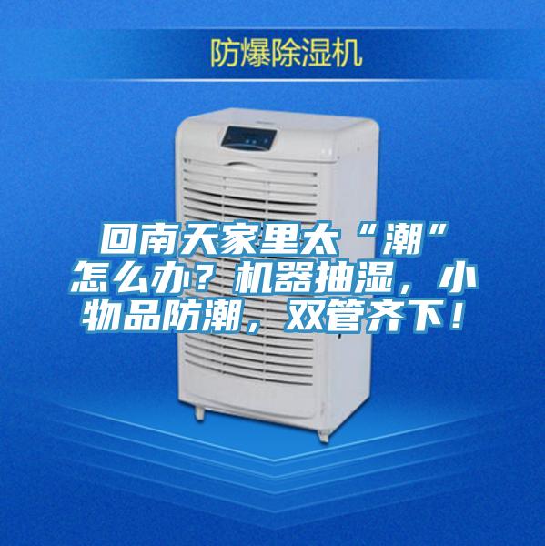 回南天家里太“潮”怎么辦？機(jī)器抽濕，小物品防潮，雙管齊下！