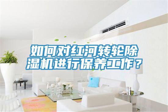 如何對紅河轉輪除濕機進行保養工作？