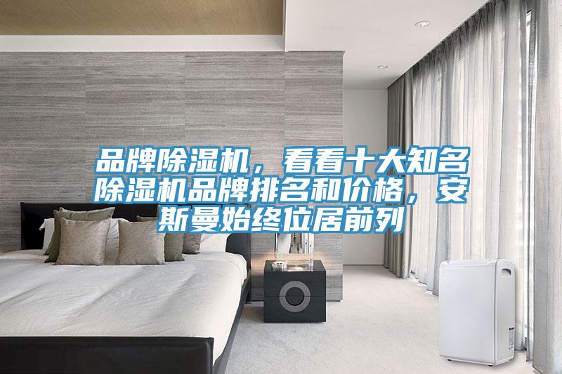 品牌除濕機，看看十大知名除濕機品牌排名和價格，安斯曼始終位居前列