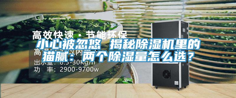 小心被忽悠 揭秘除濕機(jī)里的貓膩：兩個(gè)除濕量怎么選？