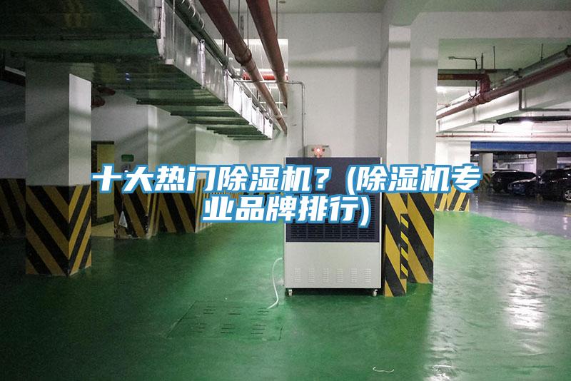 十大熱門除濕機？(除濕機專業品牌排行)