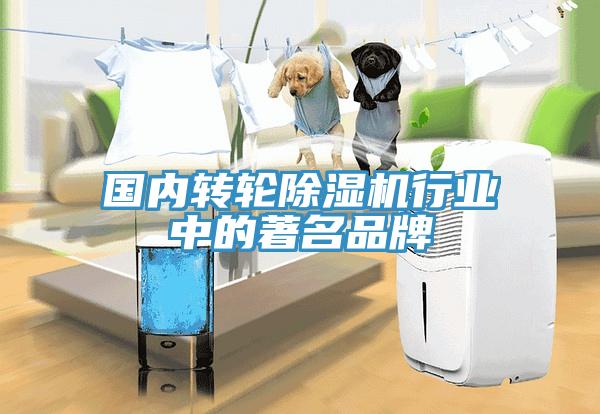 國內轉輪除濕機行業中的著名品牌
