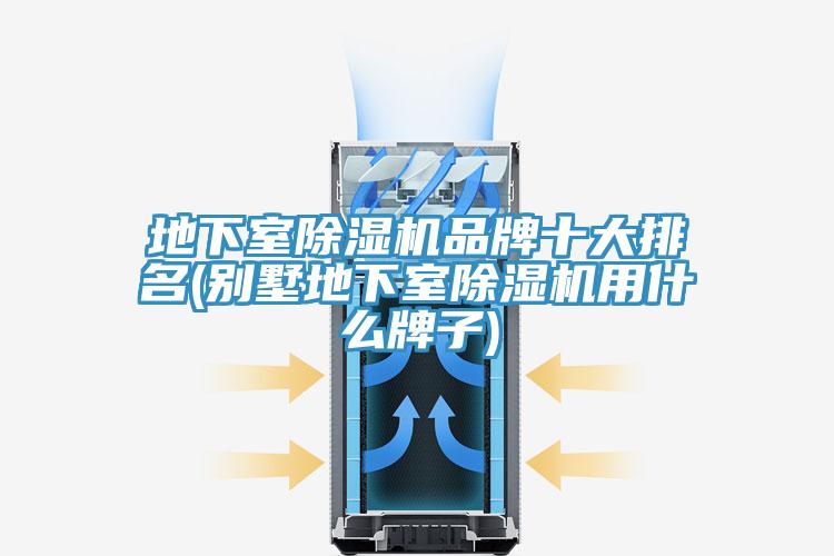 地下室除濕機(jī)品牌十大排名(別墅地下室除濕機(jī)用什么牌子)