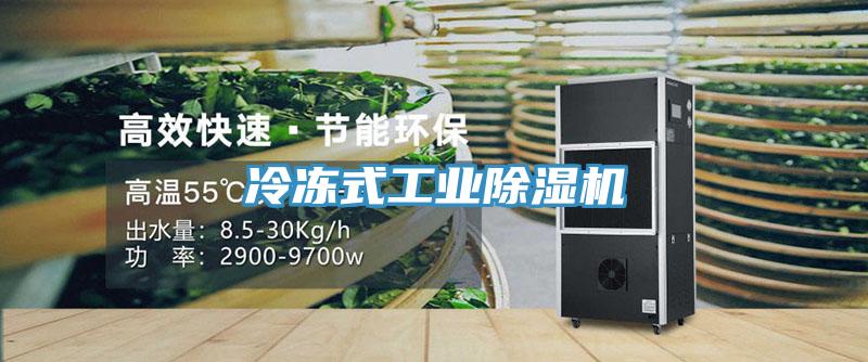 冷凍式工業除濕機
