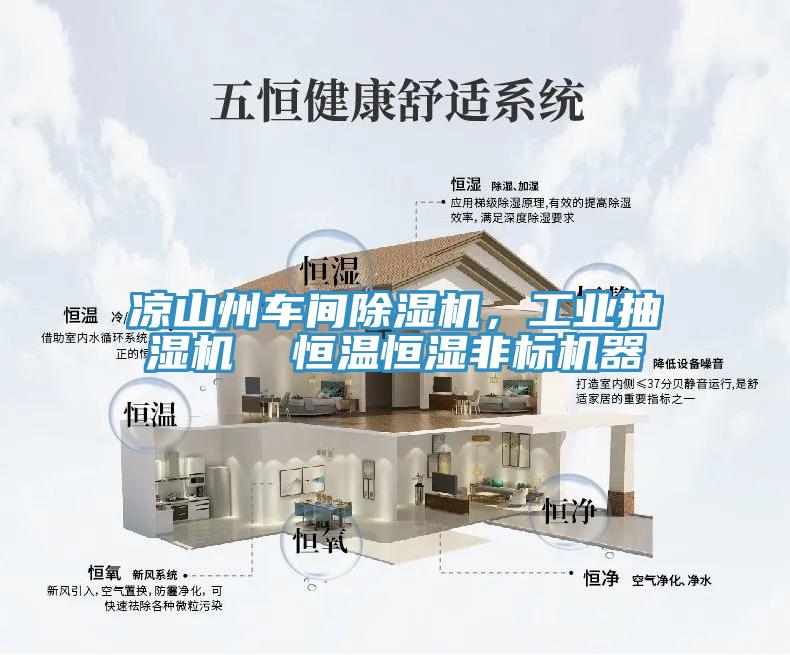 涼山州車間除濕機，工業抽濕機  恒溫恒濕非標機器