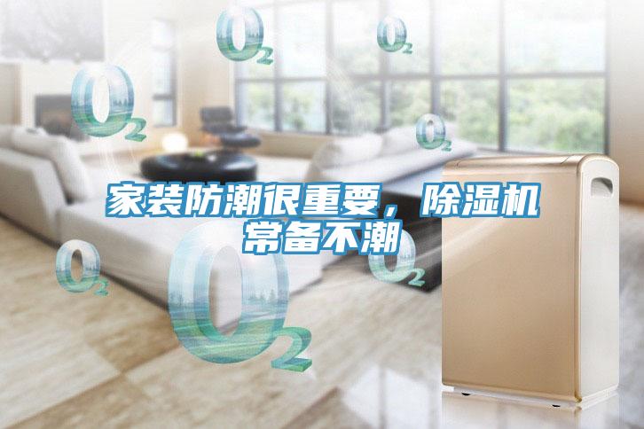 家裝防潮很重要，除濕機常備不潮