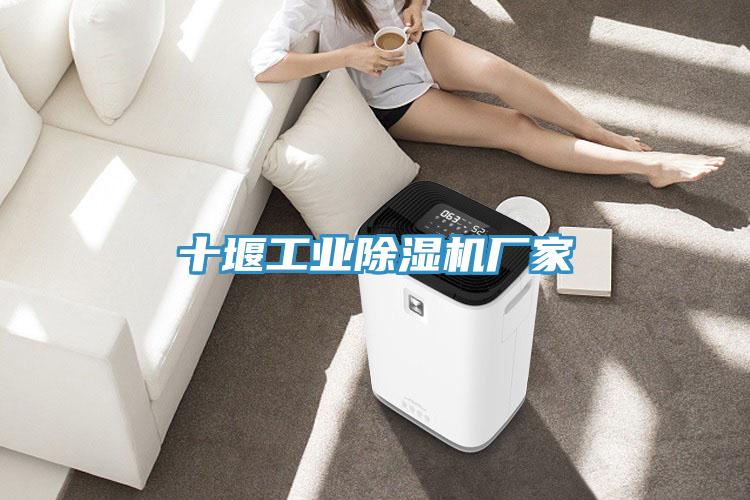 十堰工業除濕機廠家
