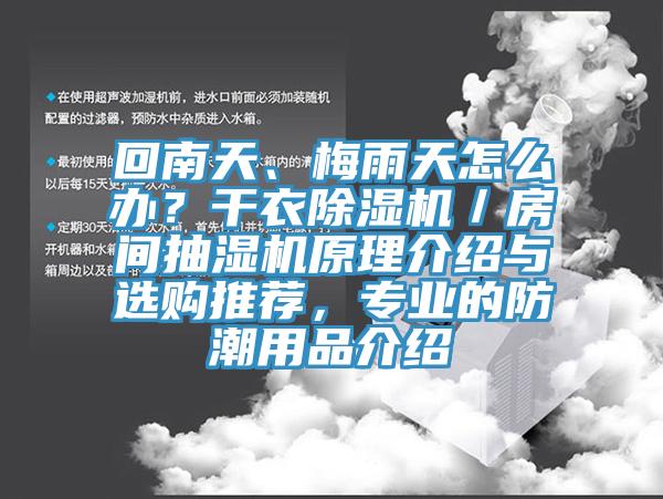回南天、梅雨天怎么辦？干衣除濕機／房間抽濕機原理介紹與選購推薦，專業的防潮用品介紹