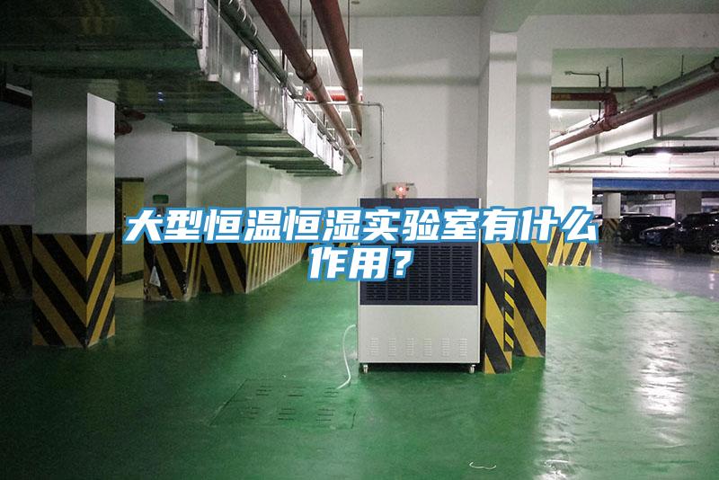 大型恒溫恒濕實驗室有什么作用？