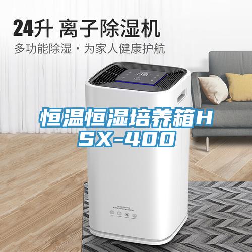 恒溫恒濕培養箱HSX-400