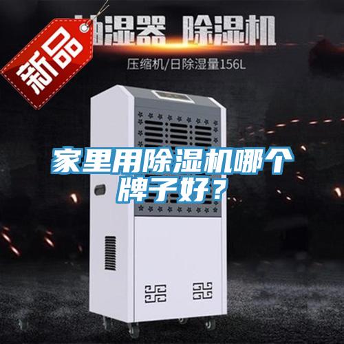 家里用除濕機哪個牌子好？