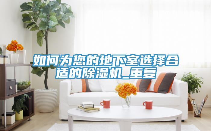 如何為您的地下室選擇合適的除濕機_重復