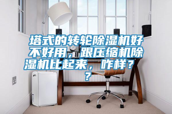 塔式的轉輪除濕機好不好用，跟壓縮機除濕機比起來，咋樣？ ？