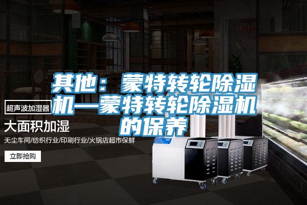 其他：蒙特轉輪除濕機—蒙特轉輪除濕機的保養