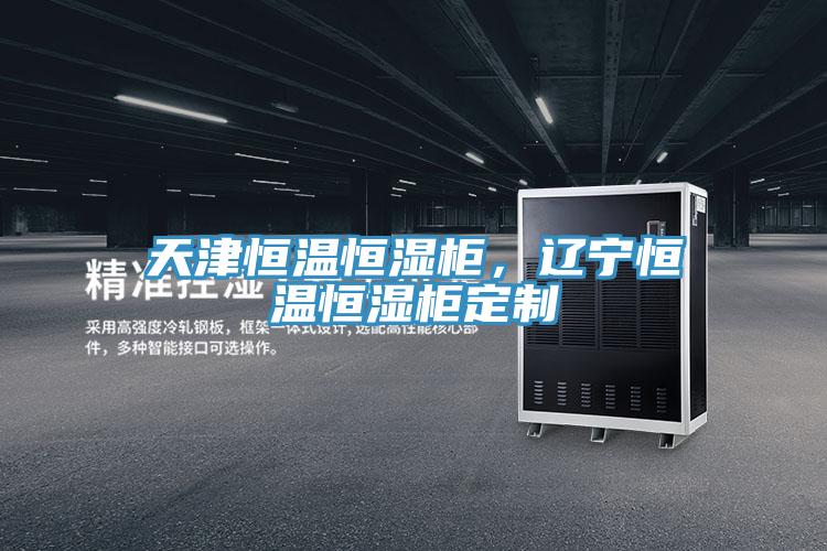天津恒溫恒濕柜，遼寧恒溫恒濕柜定制