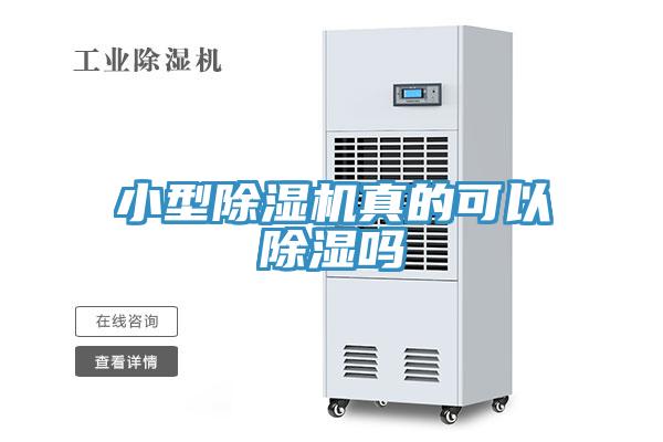 小型除濕機(jī)真的可以除濕嗎