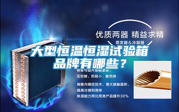 大型恒溫恒濕試驗箱品牌有哪些？