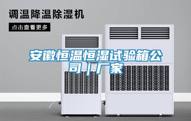 安徽恒溫恒濕試驗箱公司｜廠家