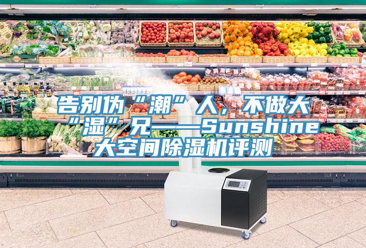 告別偽“潮”人，不做大“濕”兄——Sunshine大空間除濕機(jī)評(píng)測(cè)