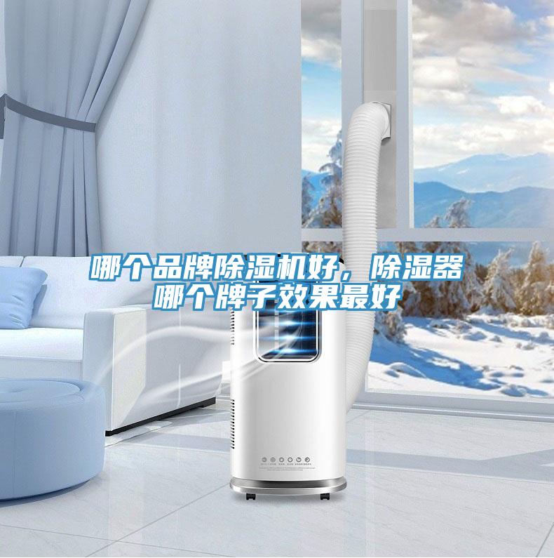 哪個(gè)品牌除濕機(jī)好，除濕器哪個(gè)牌子效果最好