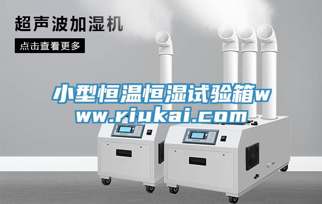 小型恒溫恒濕試驗箱www.riukai.com