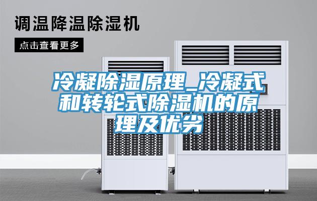 冷凝除濕原理_冷凝式和轉輪式除濕機的原理及優劣
