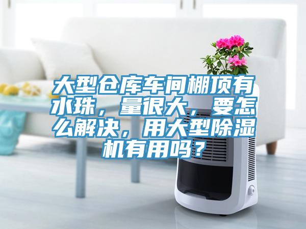 大型倉庫車間棚頂有水珠，量很大，要怎么解決，用大型除濕機有用嗎？