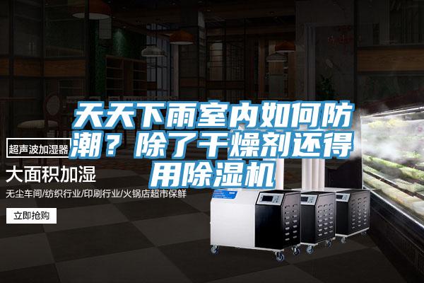 天天下雨室內如何防潮？除了干燥劑還得用除濕機