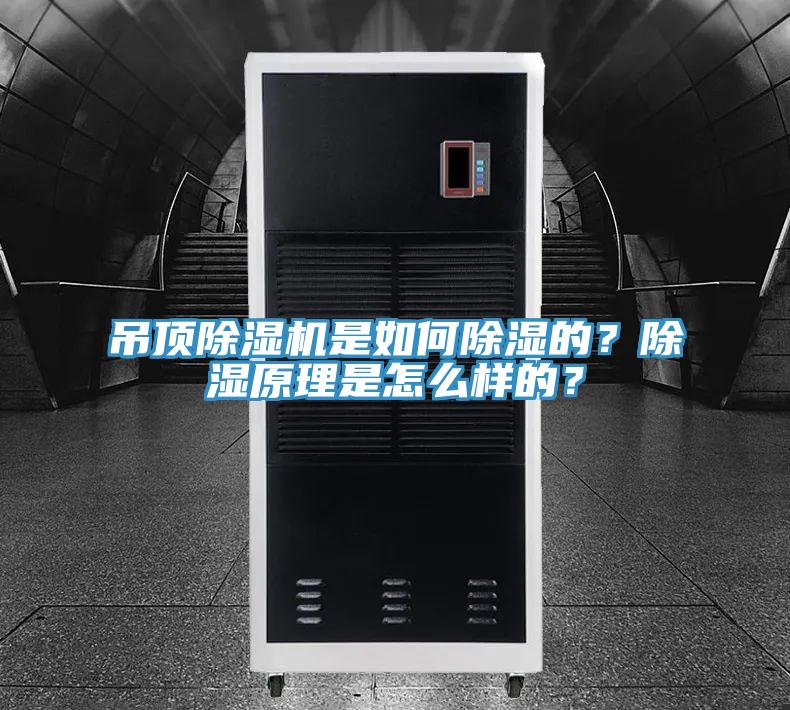 吊頂除濕機是如何除濕的？除濕原理是怎么樣的？