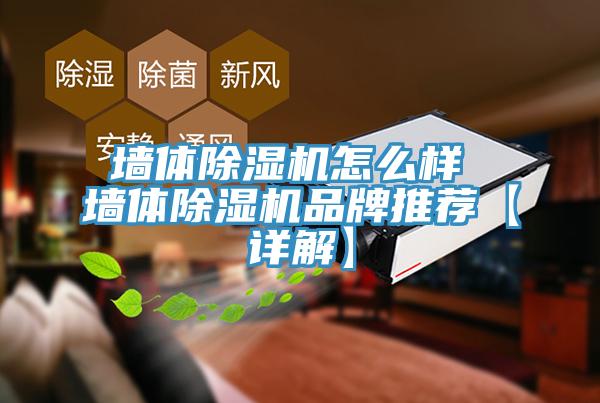 墻體除濕機怎么樣 墻體除濕機品牌推薦【詳解】