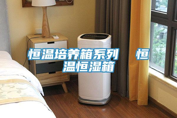 恒溫培養箱系列  恒溫恒濕箱