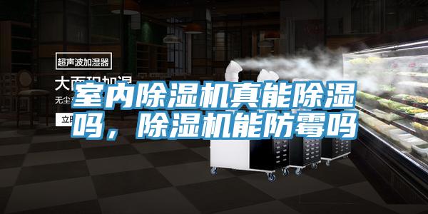 室內(nèi)除濕機(jī)真能除濕嗎，除濕機(jī)能防霉嗎