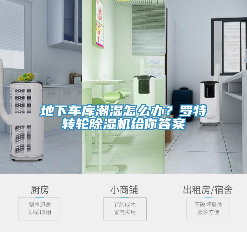 地下車庫潮濕怎么辦？羅特轉輪除濕機給你答案