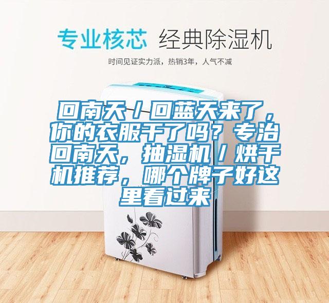 回南天／回藍天來了，你的衣服干了嗎？專治回南天，抽濕機／烘干機推薦，哪個牌子好這里看過來