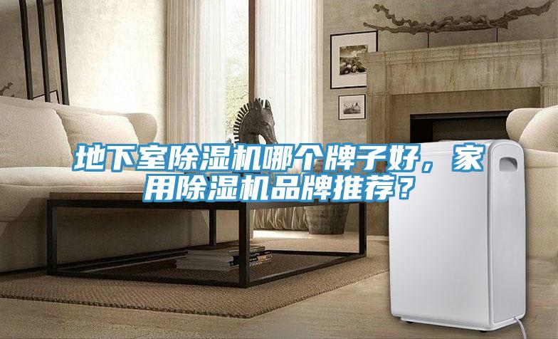 地下室除濕機(jī)哪個牌子好，家用除濕機(jī)品牌推薦？