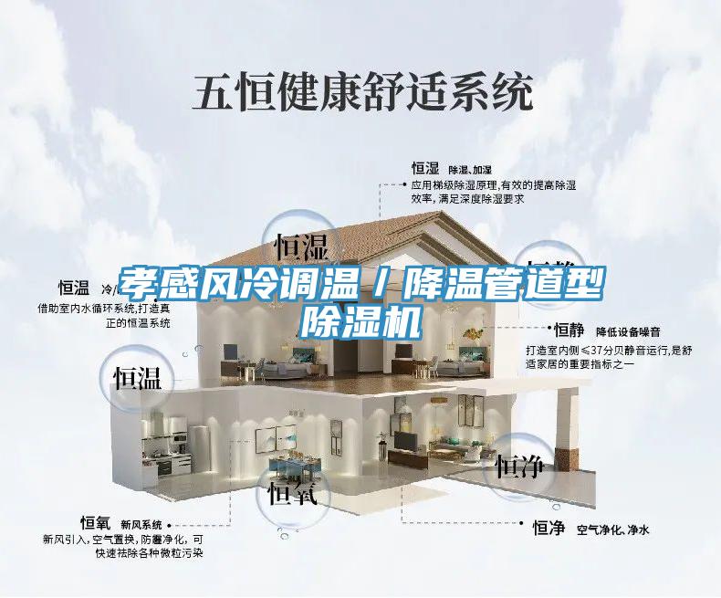 孝感風冷調溫／降溫管道型除濕機