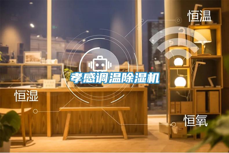 孝感調溫除濕機