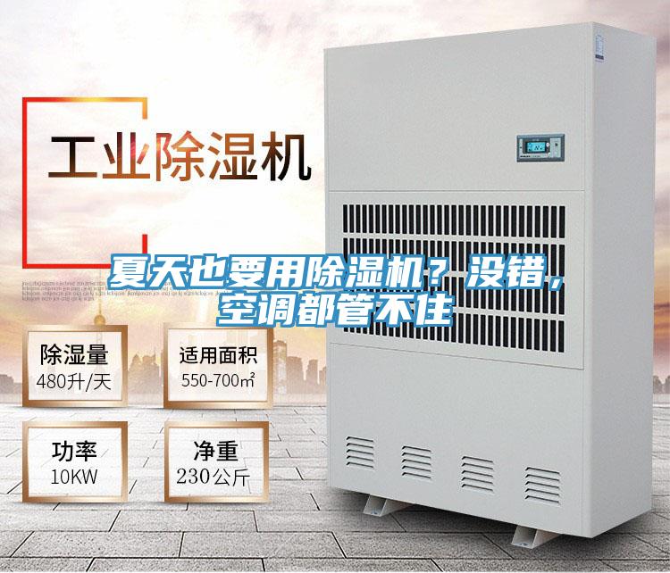 夏天也要用除濕機？沒錯，空調都管不住