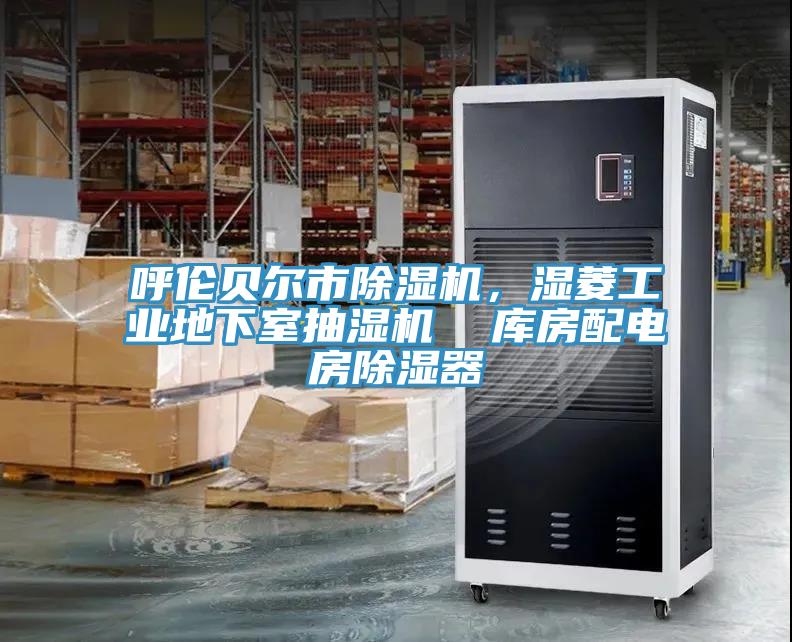 呼倫貝爾市除濕機，濕菱工業地下室抽濕機  庫房配電房除濕器