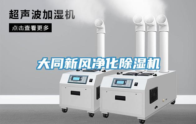 大同新風凈化除濕機