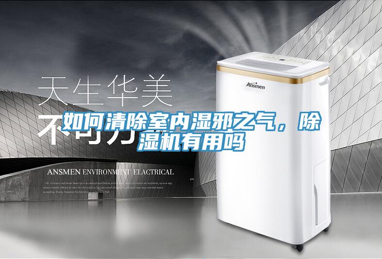如何清除室內濕邪之氣，除濕機有用嗎