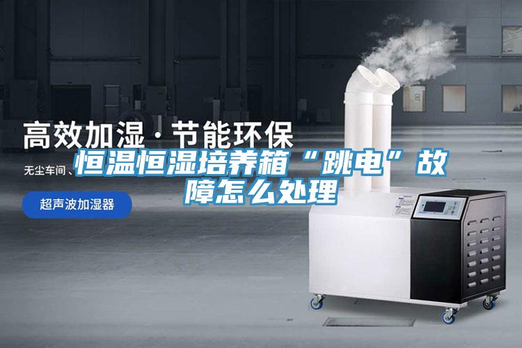 恒溫恒濕培養箱“跳電”故障怎么處理