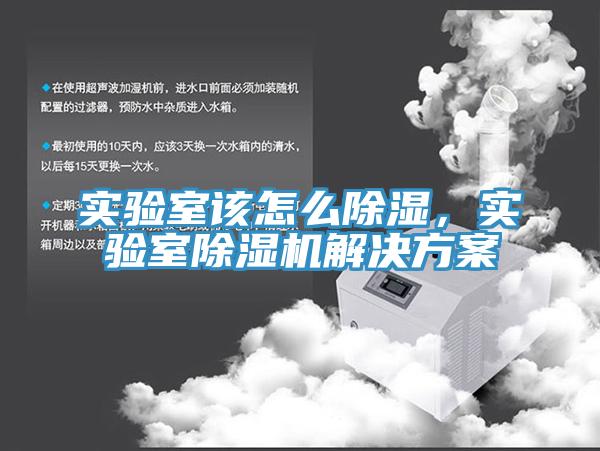 實驗室該怎么除濕，實驗室除濕機解決方案