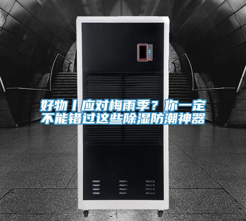 好物丨應對梅雨季？你一定不能錯過這些除濕防潮神器