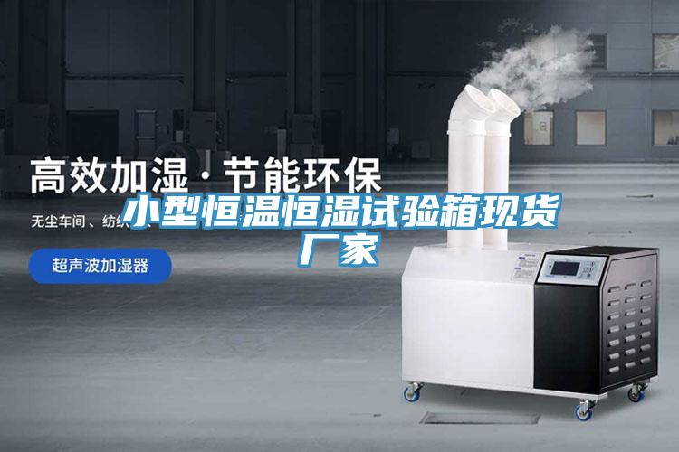 小型恒溫恒濕試驗(yàn)箱現(xiàn)貨廠家