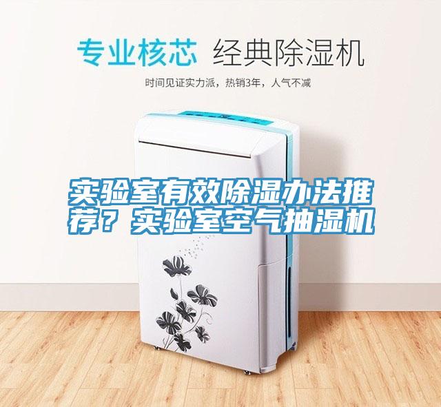 實驗室有效除濕辦法推薦？實驗室空氣抽濕機