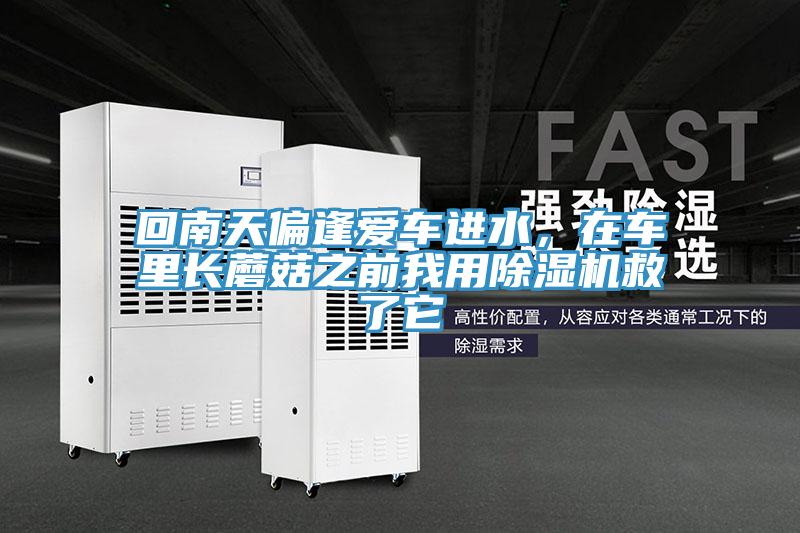 回南天偏逢愛車進水，在車里長蘑菇之前我用除濕機救了它