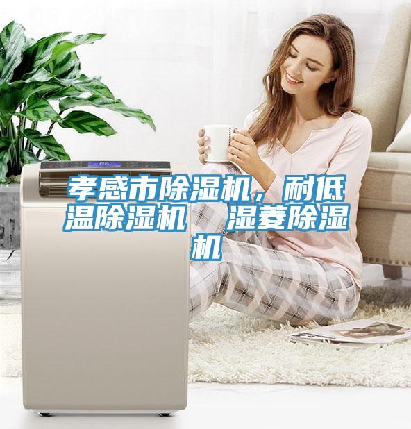 孝感市除濕機，耐低溫除濕機  濕菱除濕機